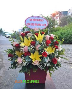 {shopchoxaphuong} {xaphuong}